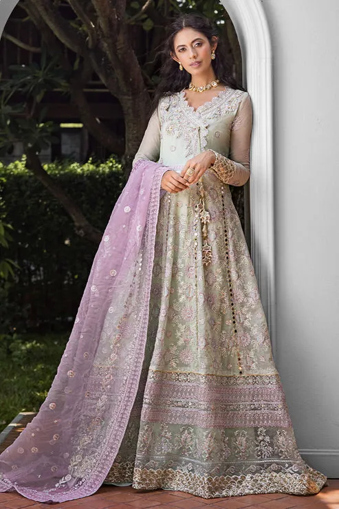AARA | ROOHI UNSTITCHED LUXURY COLLECTION | MUSHQ