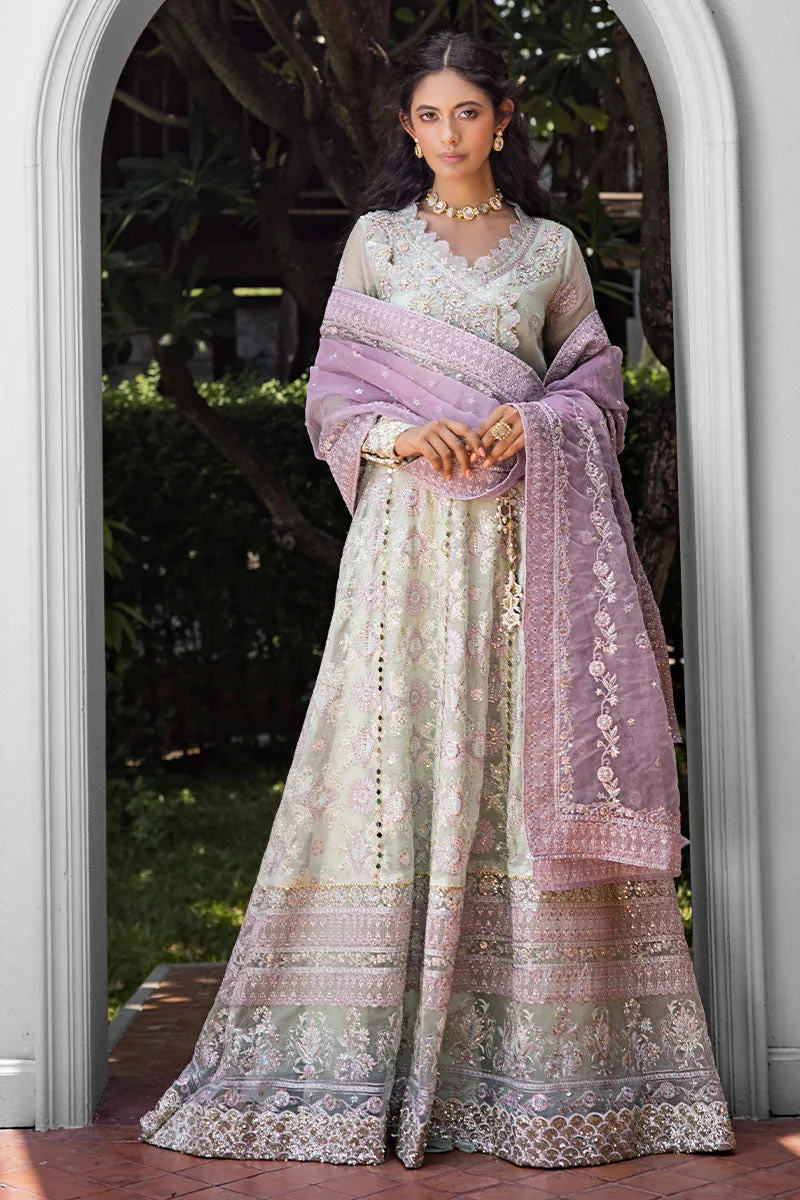 AARA | ROOHI UNSTITCHED LUXURY COLLECTION | MUSHQ