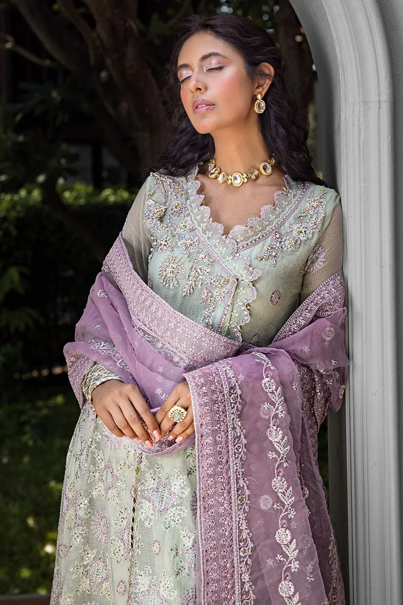 AARA | ROOHI UNSTITCHED LUXURY COLLECTION | MUSHQ