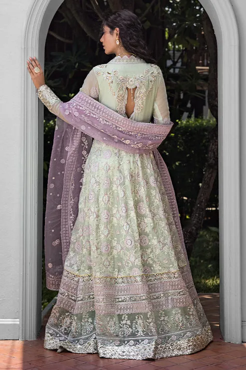 AARA | ROOHI UNSTITCHED LUXURY COLLECTION | MUSHQ