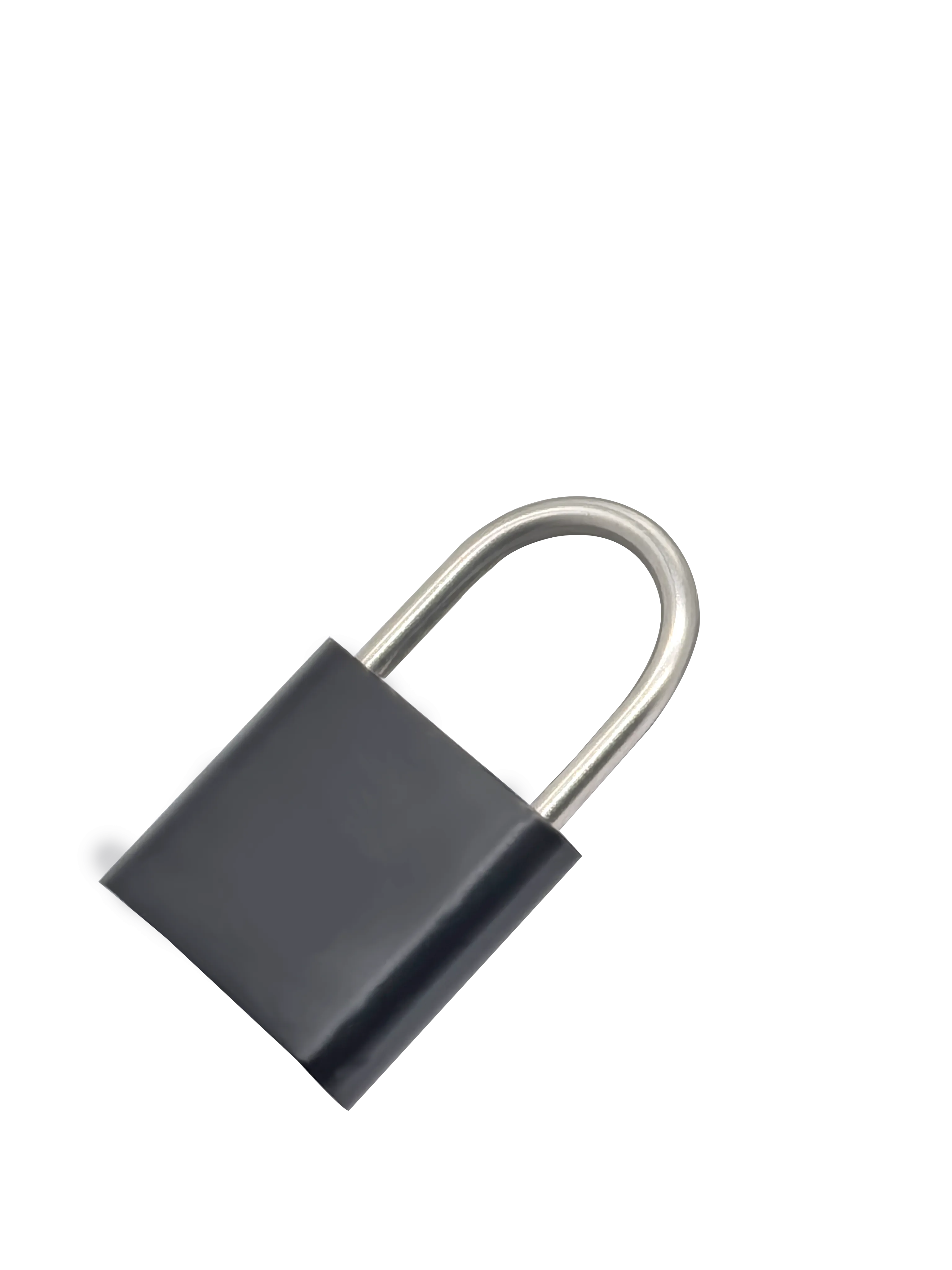 Axopack Fingerprint travel lock