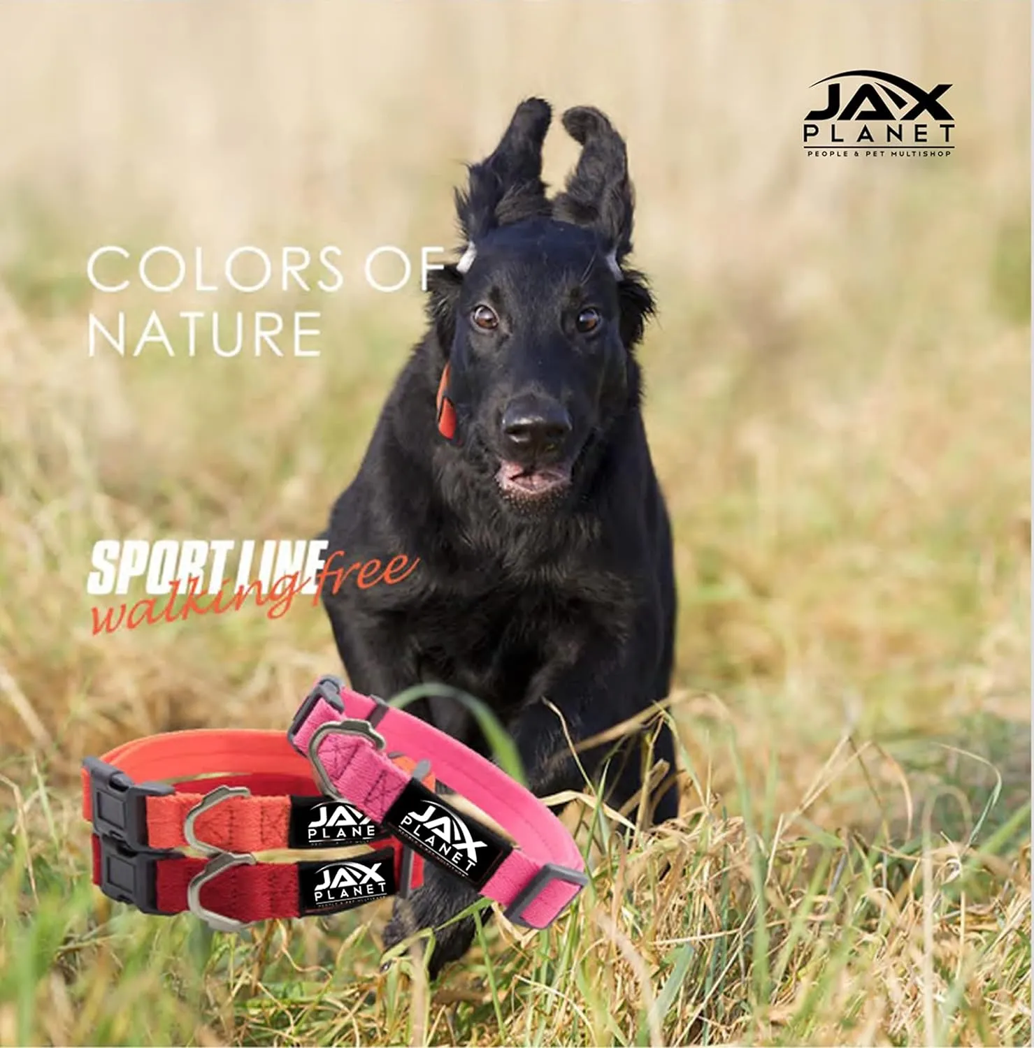 Dog Medium Sized Service Small no Pull Puppy Size Collar Leash Set Easy Walk Training Animal Light Handle Escape Proof Heavy Duty Belt Clip Gear wear Body Running Chest Accessories Adjustable Padded