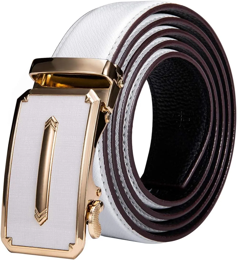 Dubulle Designer Mens Belts, Sliding Automatic Buckle Ratchet Dress Belt TOP Genuine Leather Strap Gifts