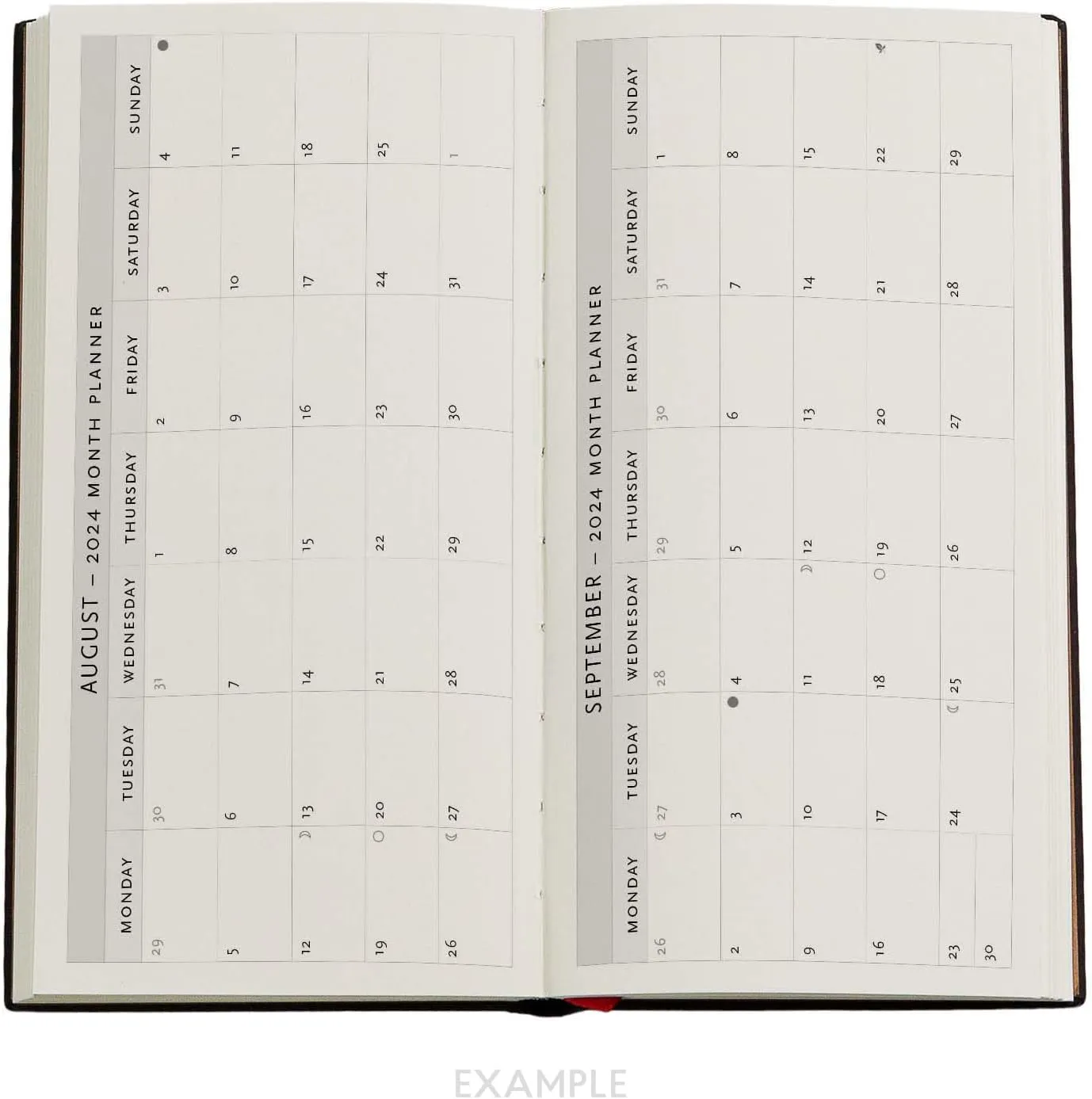Hummingbirds & Flutterbyes (Playful Creations) Slim 12-month Dayplanner 2024