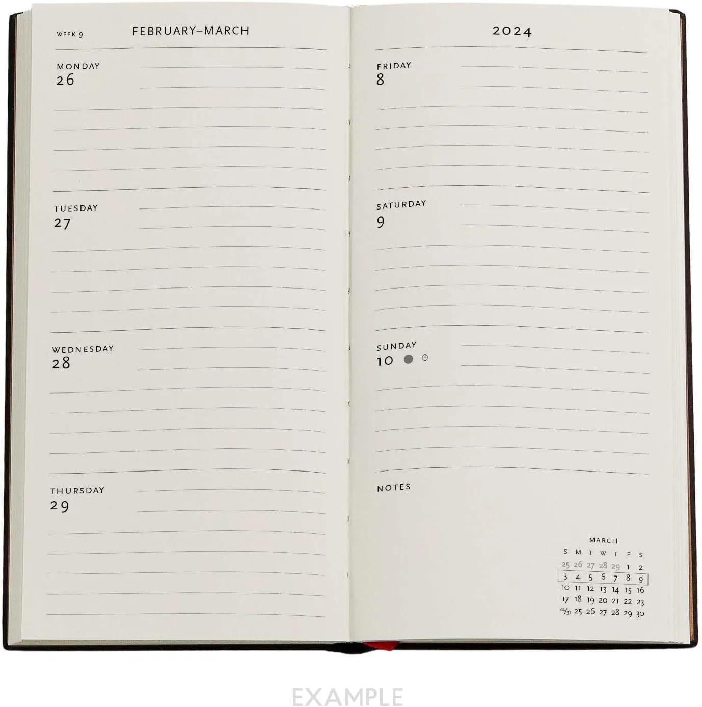 Hummingbirds & Flutterbyes (Playful Creations) Slim 12-month Dayplanner 2024