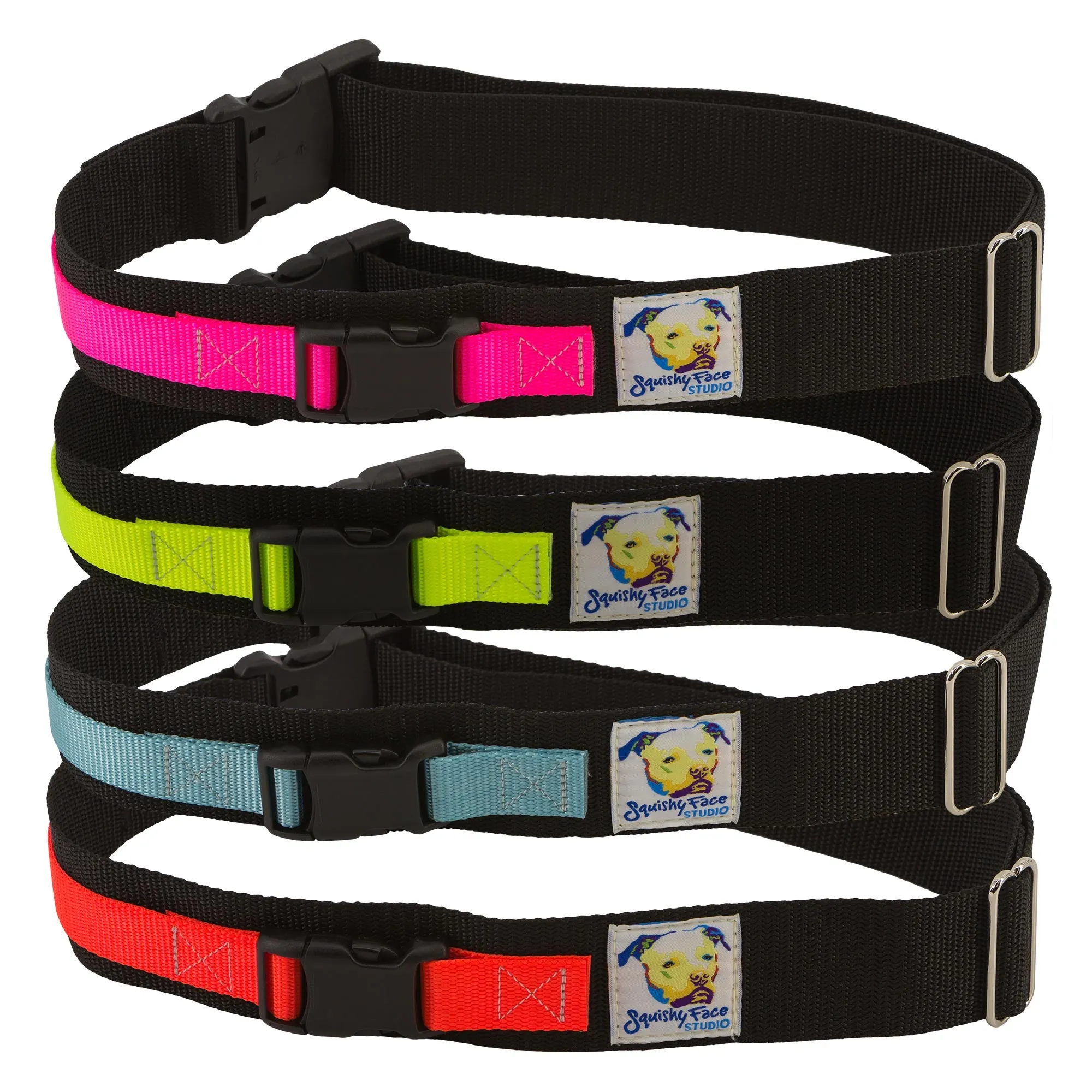 Leash Belt for Hands Free Dog Walking