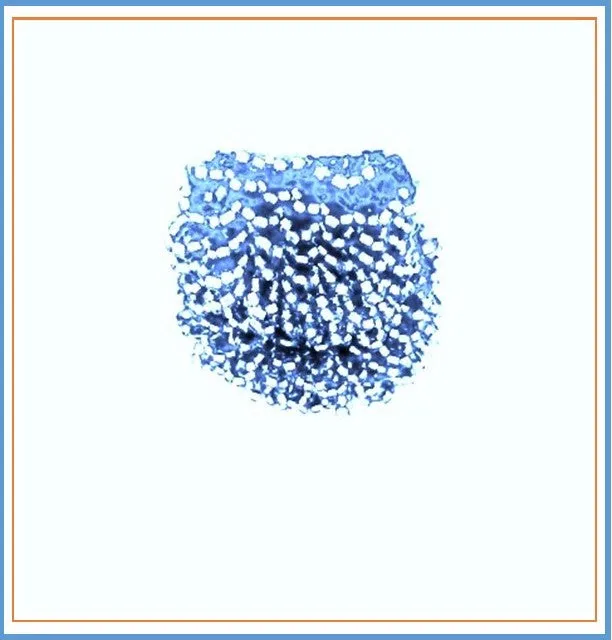 Miniature Beaded Bag Collection Handmade Brooch Lapel Bags