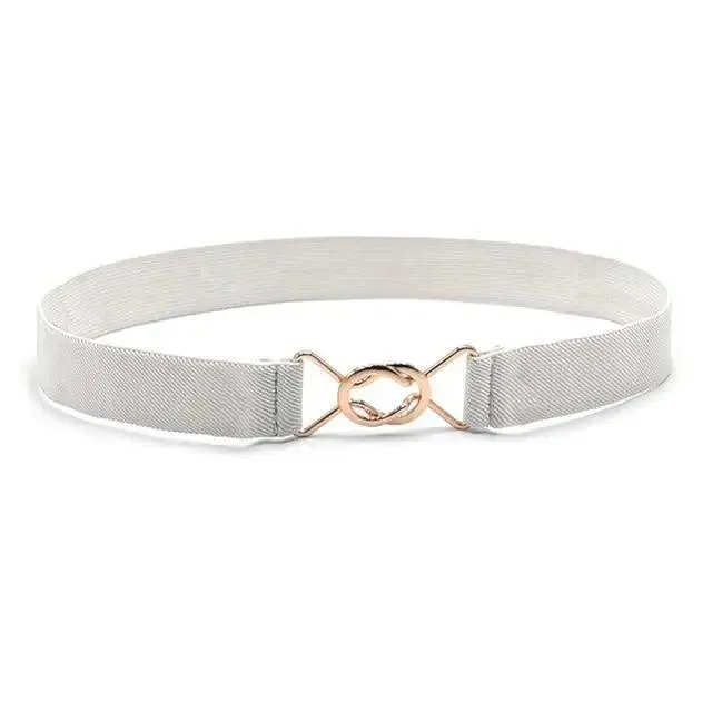 Modern Wide Fabric Strap Silver Metal Buckle Belts For Women Trendy Fashion Stretchable Classic Belts