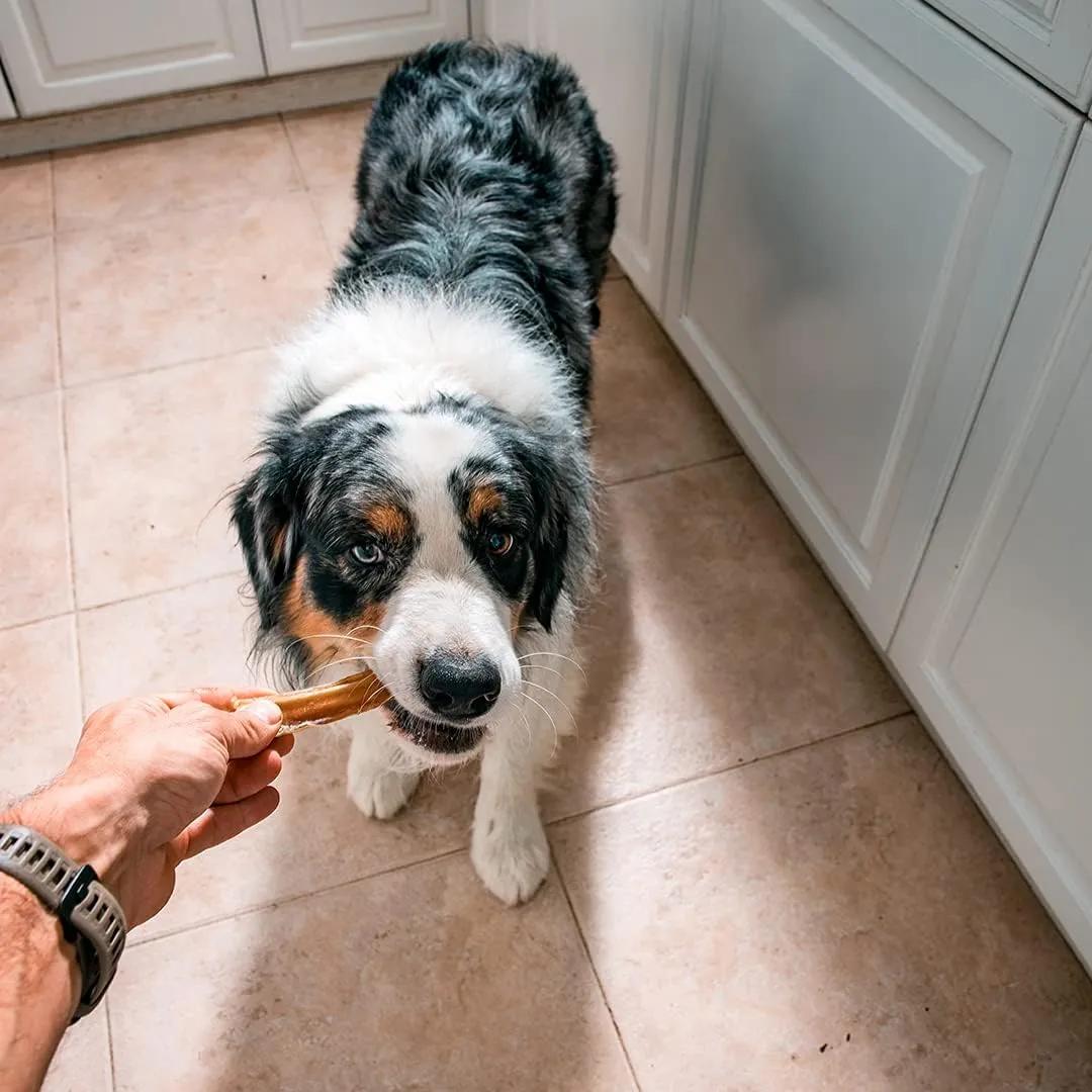 Mon Ami Braided Bully Sticks for Large and Small Dogs (11-12 inches, Pack of 8) - Made from Grass Fed Beef Dog Treats - Natural Bully Sticks - Grain Free & High Protein Dog Snack