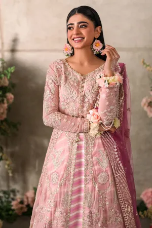 Mushq Mastani Evening Luxury Wedding Formals – Maisha