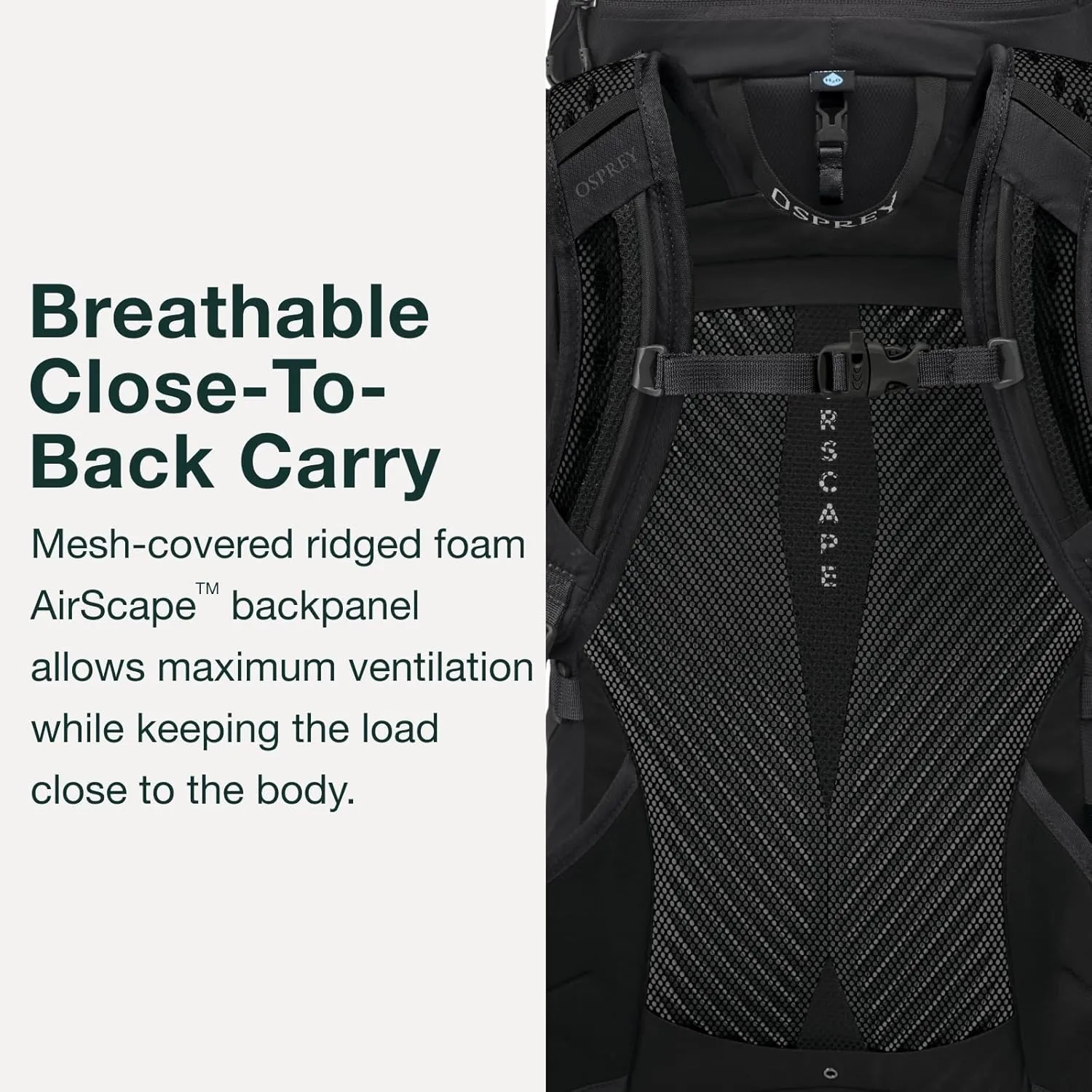 Osprey Sportlite 30L Unisex Hiking Backpack, Dark Charcoal Grey, M/L
