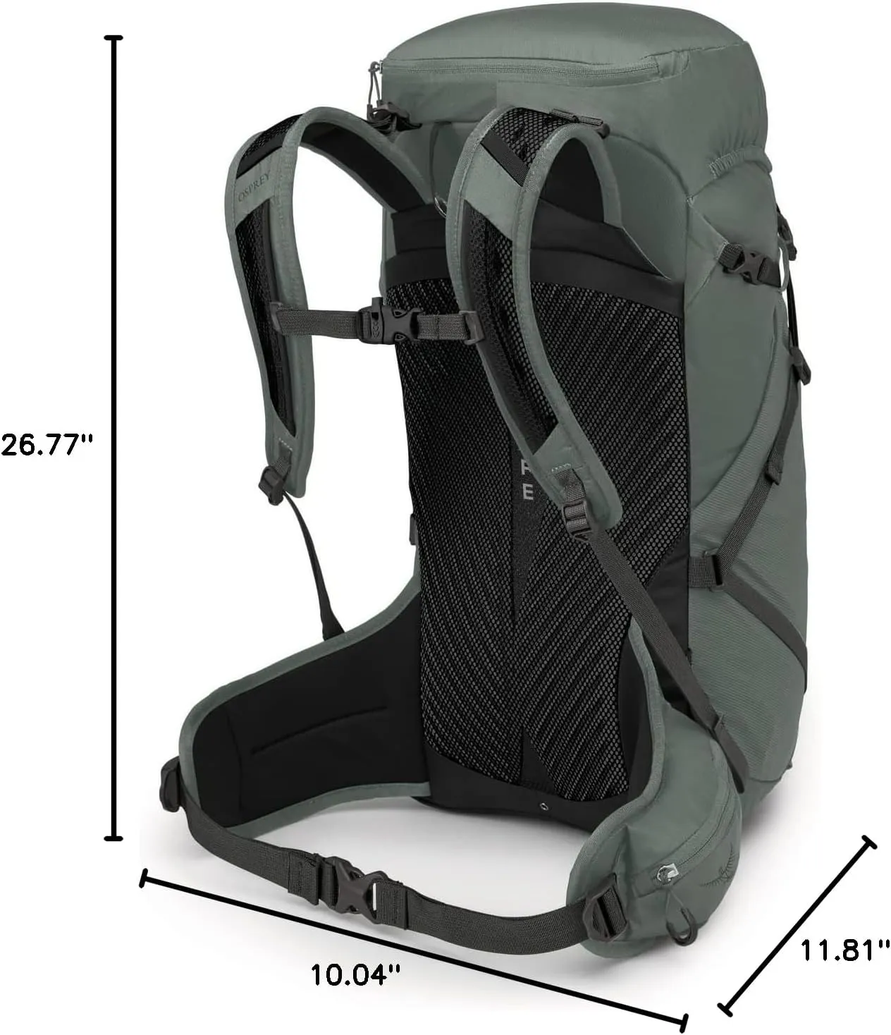 Osprey Sportlite 30L Unisex Hiking Backpack, Pine Leaf Green, M/L