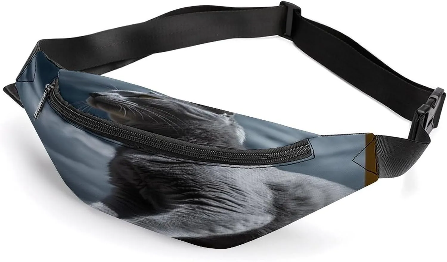 Personalized Waist Packs with Adjustable Strap,Cat Sitting on Chair CrossBody Fanny Pack Casual Bag for Travel Sports Running Hiking