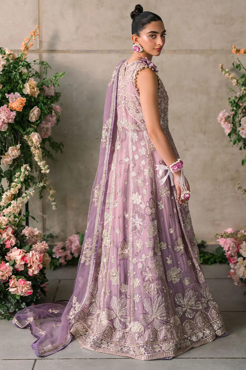Sana | Mastani Evening Luxury Chiffon Collection | MUSHQ