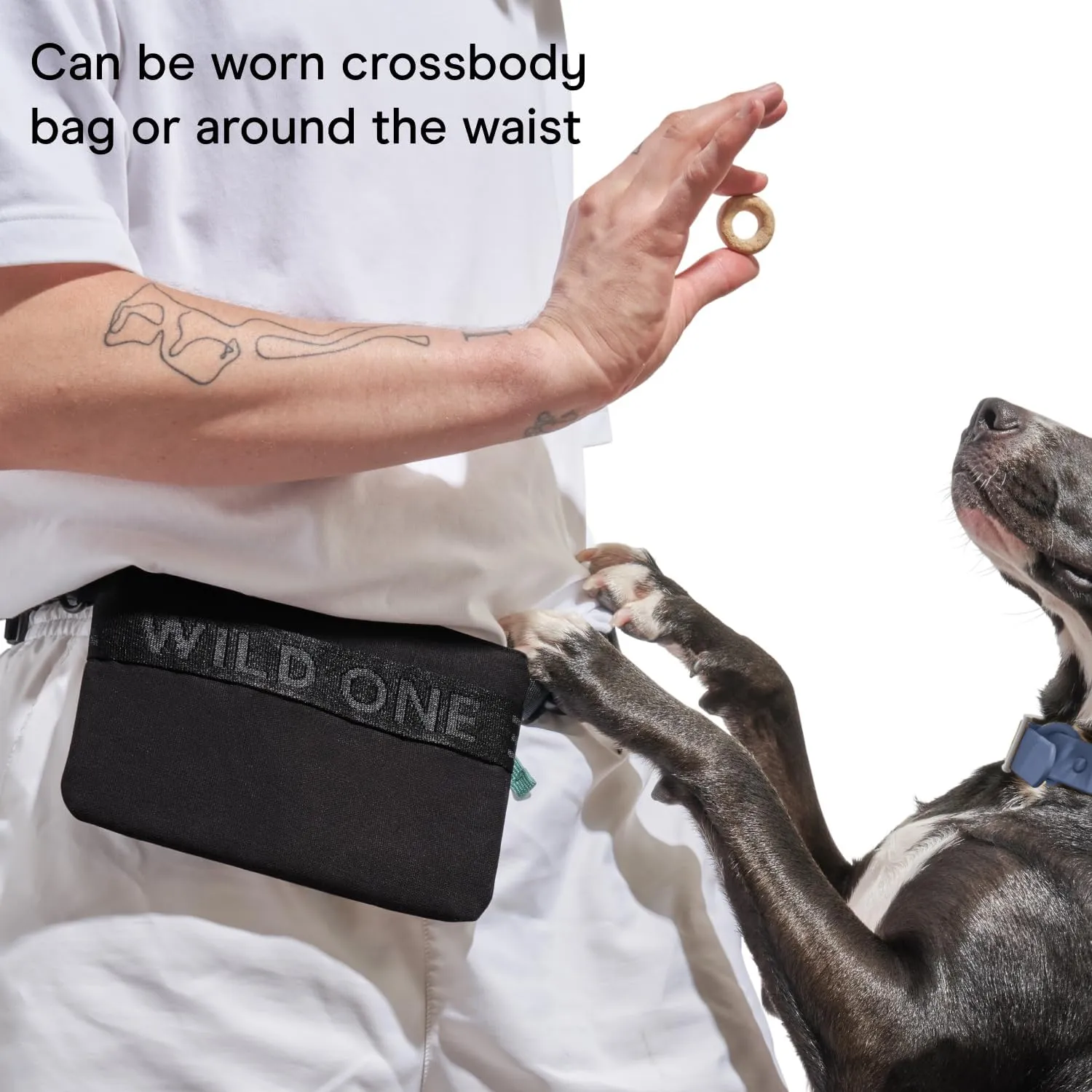 Wild One Treat Pouch